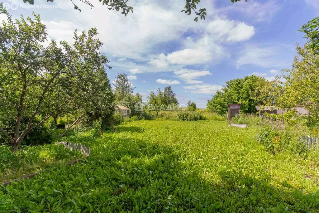 Участок в Суздальский район, муниципальное образование Селецкое, село ... - Фото 2