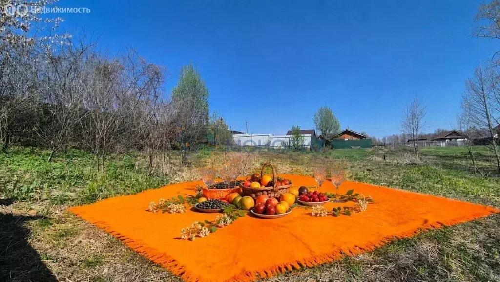 Участок в посёлок городского типа Сосновка, садоводческий ... - Фото 1