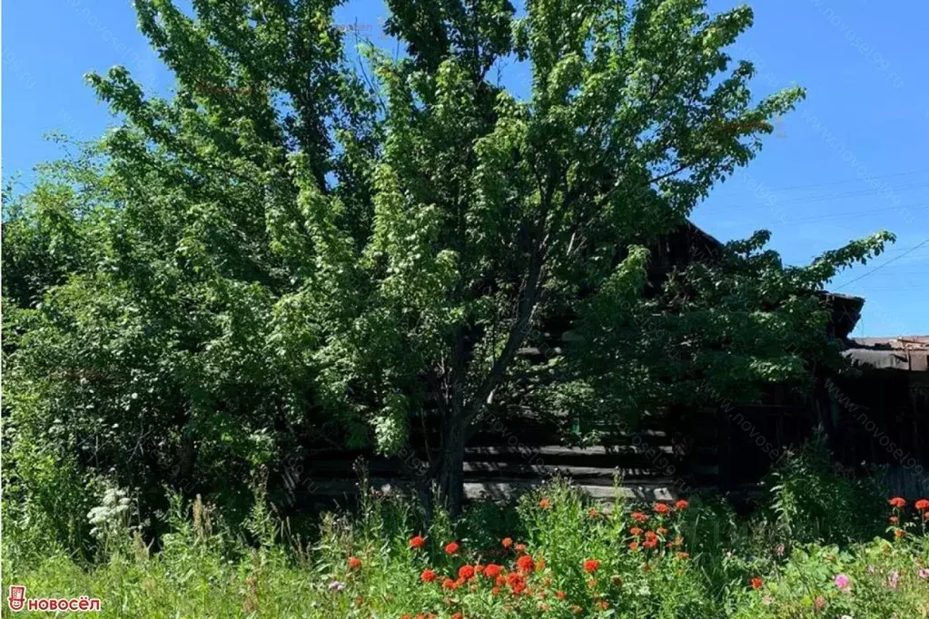 дом в свердловская область, белоярский городской округ, д. поварня ул. . - Фото 1