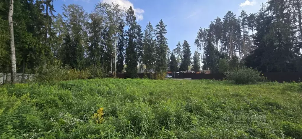 Участок в Московская область, Щелково городской округ, Жемчужная тер.  ... - Фото 2