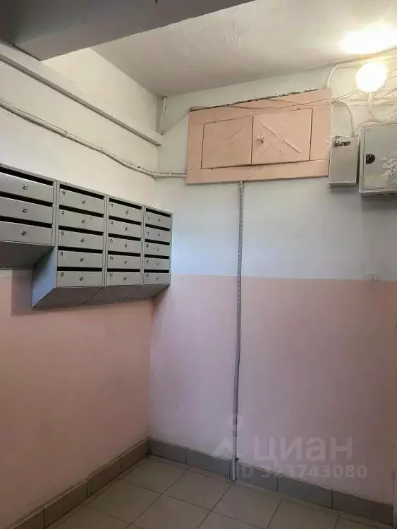 3-к кв. Омская область, Омск ул. Химиков, 46 (49.0 м) - Фото 2