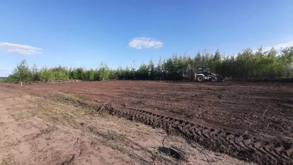 Участок в Воронежская область, Рамонский район, Новоживотинновское ... - Фото 1