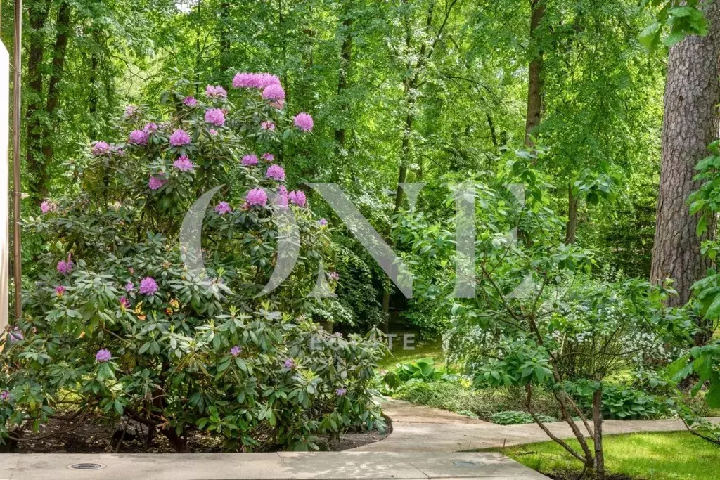 Участок в Московская область, Одинцовский городской округ, д. Жуковка, ... - Фото 2