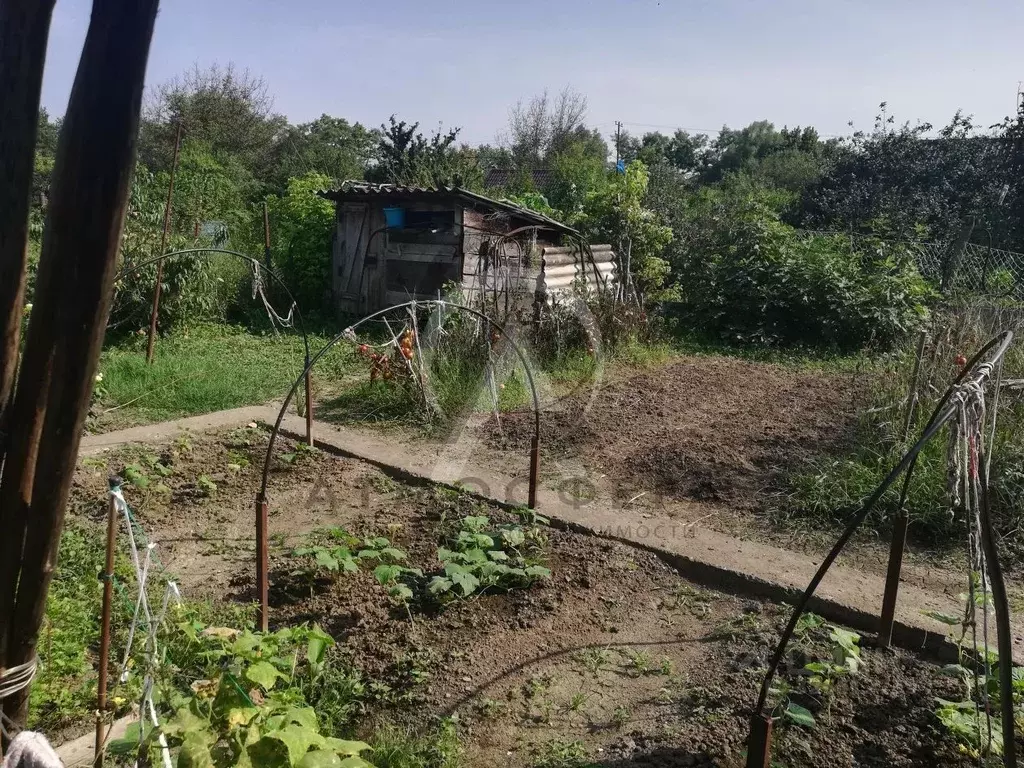 Участок в Краснодарский край, Апшеронский район, Кабардинское с/пос, ... - Фото 2