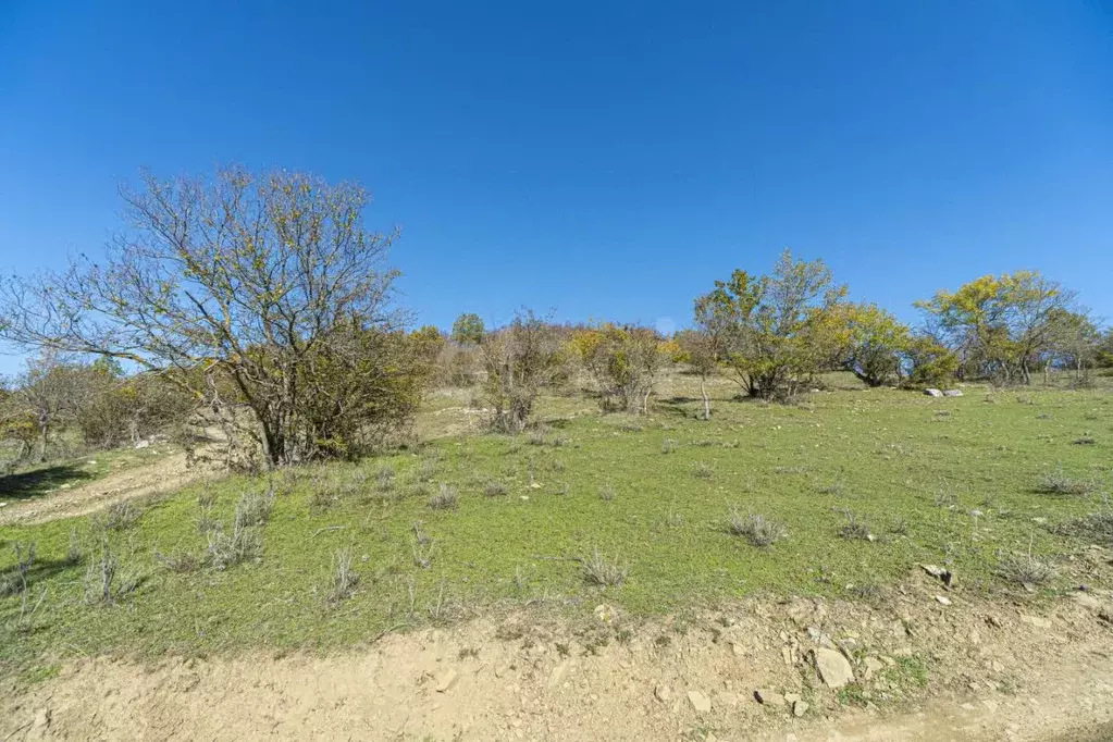 Участок в Крым, Бахчисарайский район, Зеленовское с/пос, с. Нагорное  ... - Фото 2