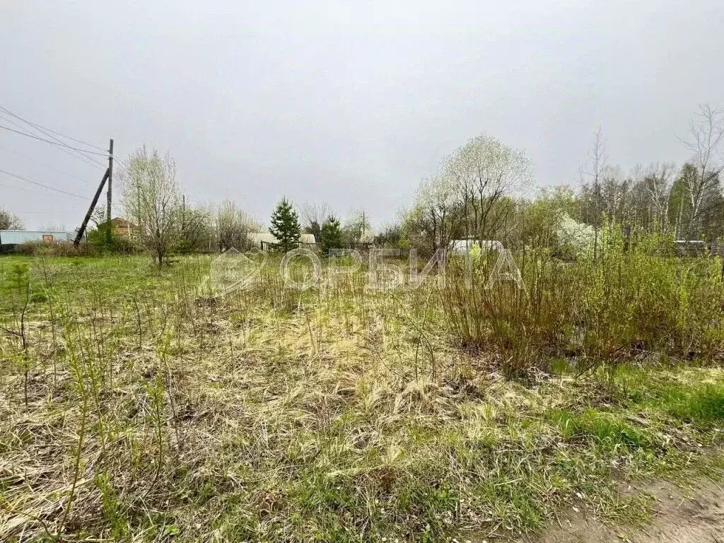 Участок в Тюменская область, Тюменский район, Исток СНТ  (7.83 сот.) - Фото 1