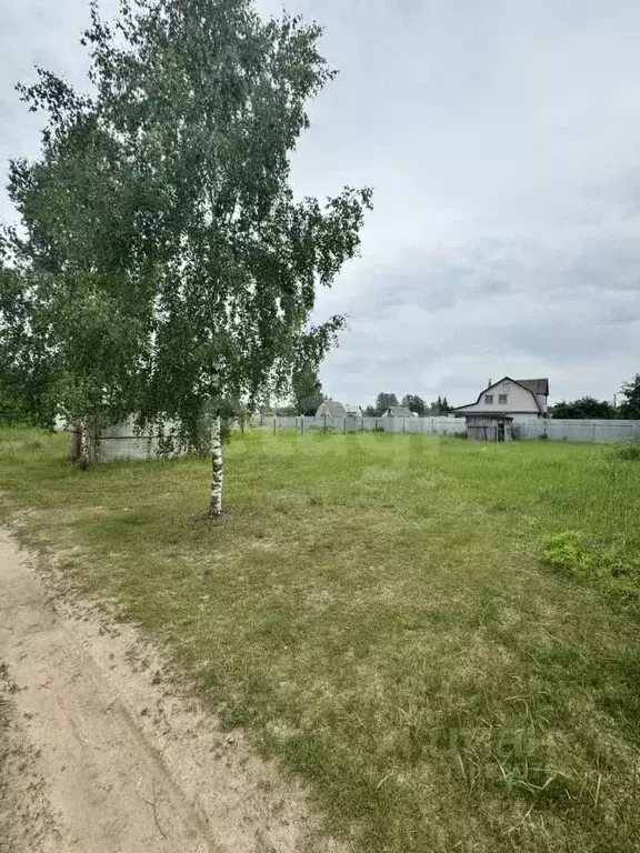 Участок в Брянская область, Брянский район, Нетьинское с/пос, Нетьинка ... - Фото 0