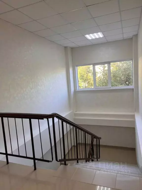 Офис в Томская область, Томск ул. Ивана Черных, 40 (20 м) - Фото 2