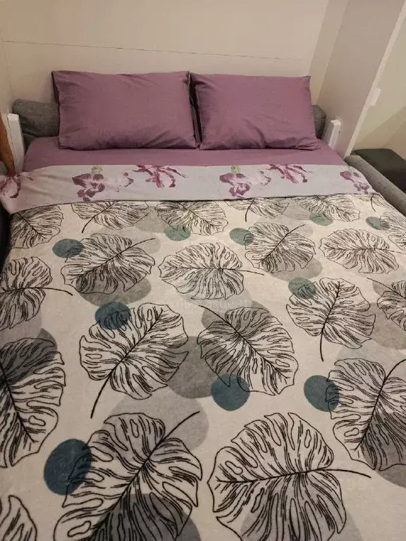 Студия Краснодарский край, Анапа Пионерский просп., 20 (15.0 м) - Фото 2