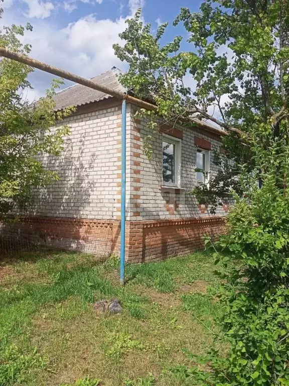 Дом в Белгородская область, Валуйский городской округ, с. Лучка ул. ... - Фото 1