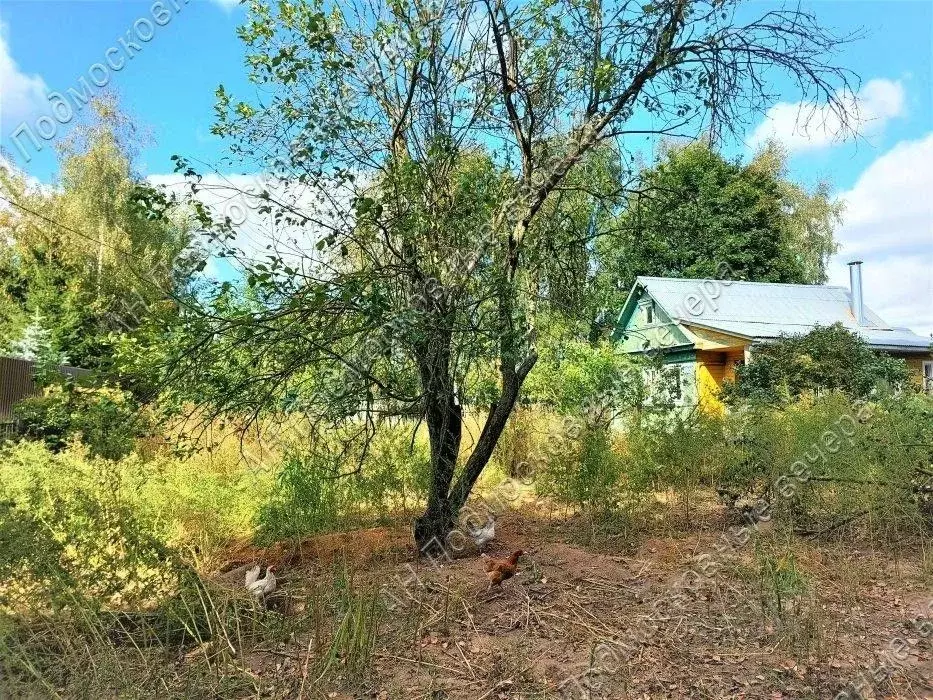 Участок в Московская область, Одинцовский городской округ, с. . - Фото 0