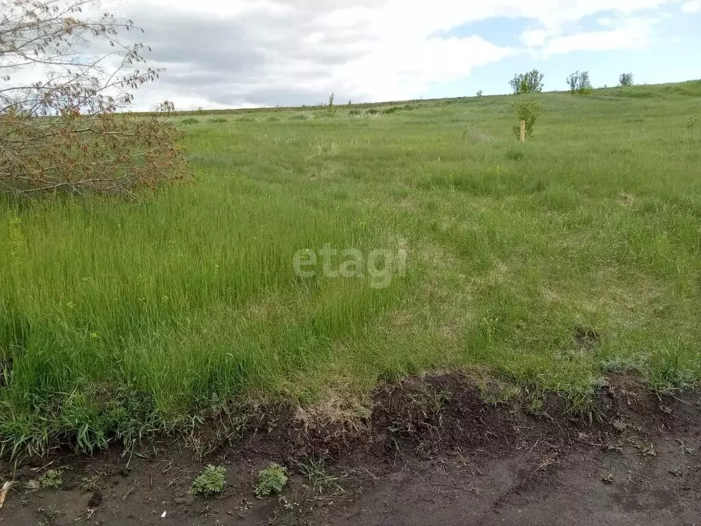 Участок в посёлок Казённая Заимка, Ручейная улица (10 м) - Фото 0