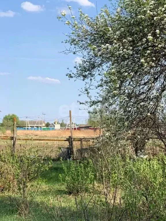 Участок в Амурская область, Благовещенский район, с. Марково ... - Фото 0