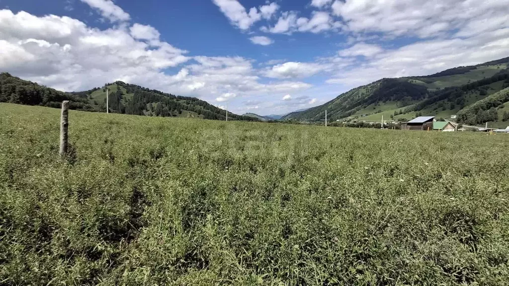 Участок в Алтай, Майминский район, с. Бирюля ул. Светлая, 20 (13.43 ... - Фото 1