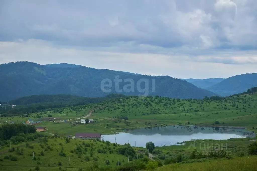 Дом в Алтайский край, Топчихинский район, с. Топчиха 110 (90 м) - Фото 1