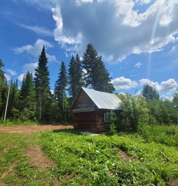 Дом в Удмуртия, Завьяловский район, Шудьинка СНТ ул. 10-я, 239 (24 м) - Фото 1