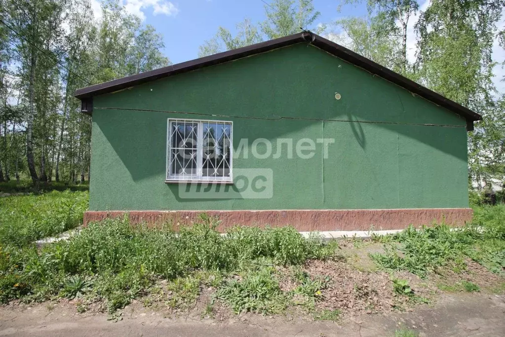 Дом в Челябинская область, Сосновский район, с. Кременкуль ул. ... - Фото 1