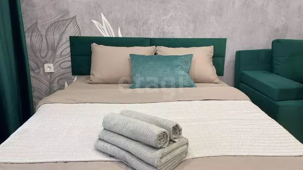 Студия Татарстан, Казань ул. Родины, 26А (31.0 м) - Фото 1