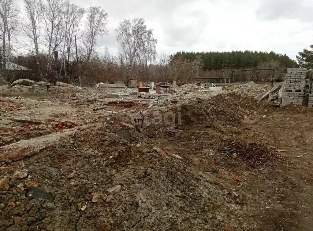 Участок в Курганская область, Шадринский муниципальный округ, с. ... - Фото 1