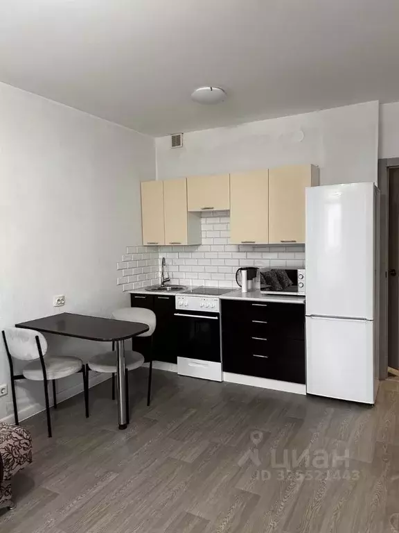 Студия Красноярский край, Красноярск Соколовская ул., 80А (26.5 м) - Фото 1