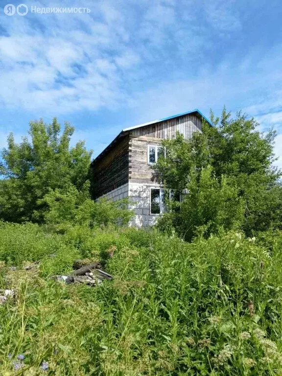 Дом в Нижегородская область, Богородский муниципальный округ, село ... - Фото 0