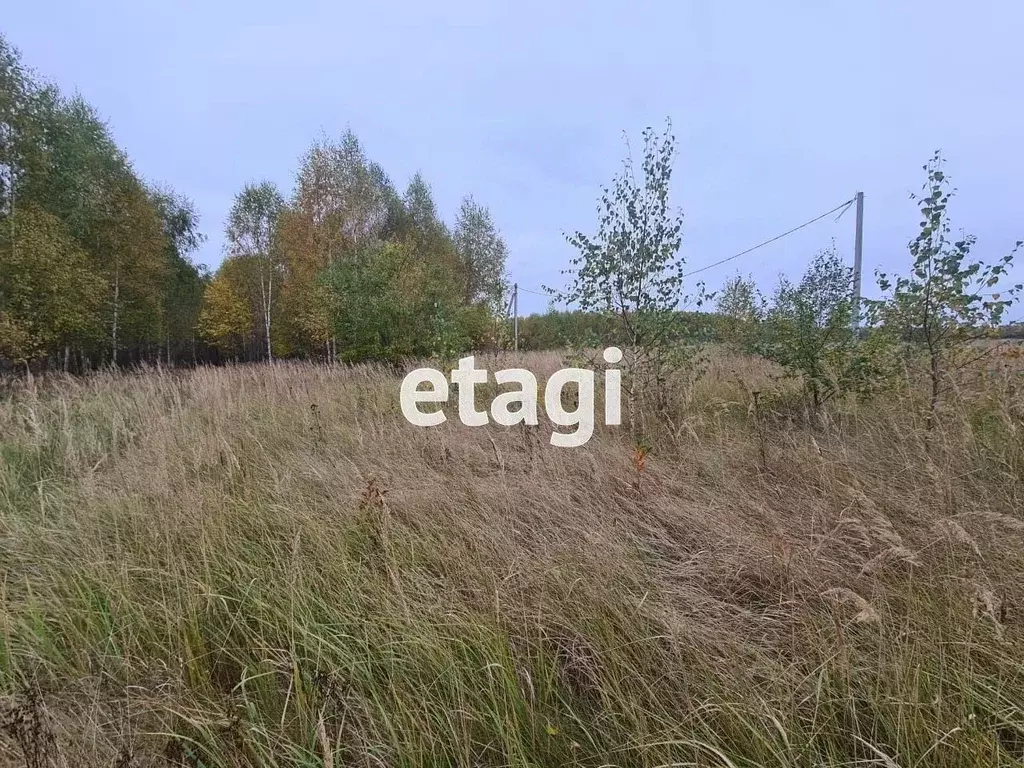 Участок в Владимирская область, Петушинский муниципальный округ, д. ... - Фото 2