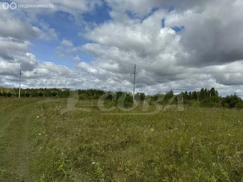 Участок в Тюменский район, деревня Елань (9 м) - Фото 1