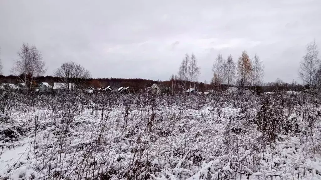 Участок в Московская область, Егорьевск муниципальный округ, д. Панино ... - Фото 0