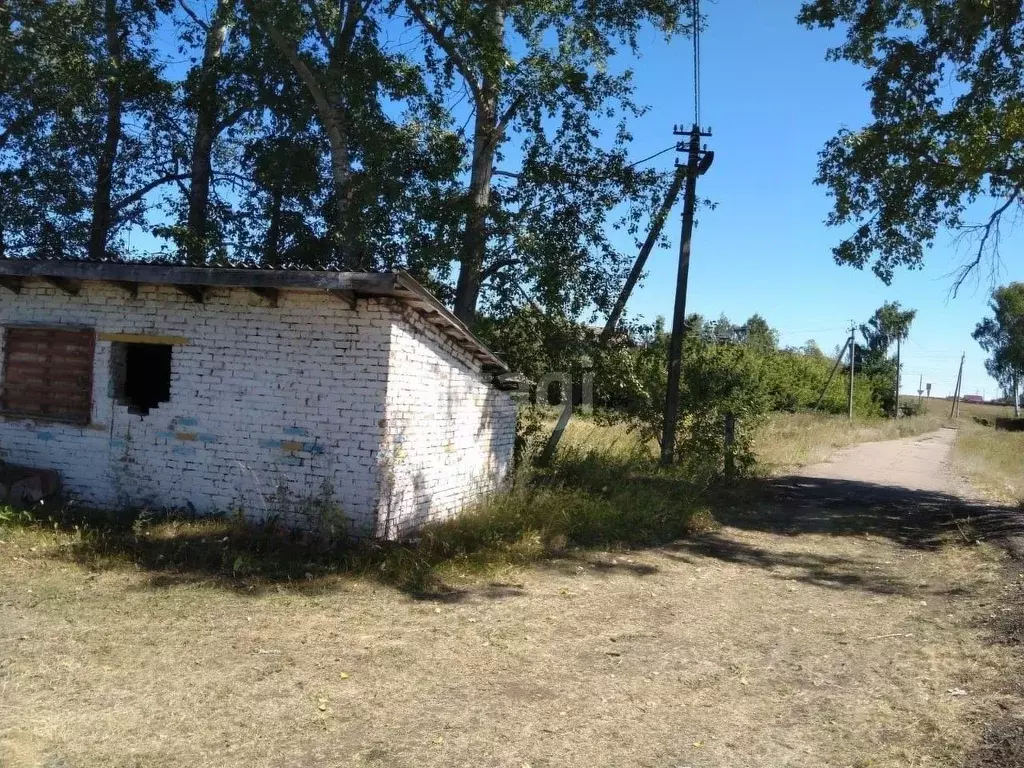 Участок в Башкортостан, Альшеевский район, Кызыльский сельсовет, с. ... - Фото 0