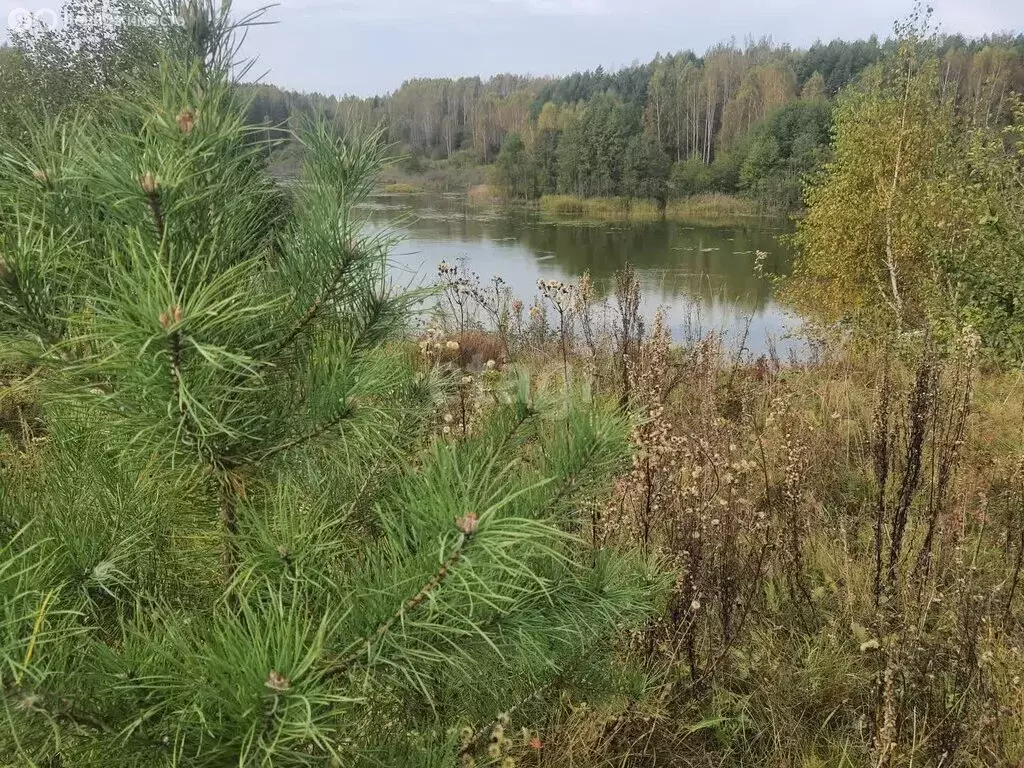 Участок в Дубровский район, Пеклинское сельское поселение, деревня ... - Фото 1