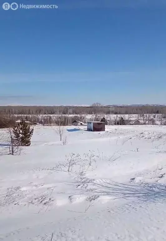 Участок в Советский район, село Шульгин Лог (15 м) - Фото 2
