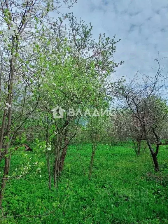 Участок в Владимирская область, Владимир № 2 завода Автоприбор сад, 5 ... - Фото 1