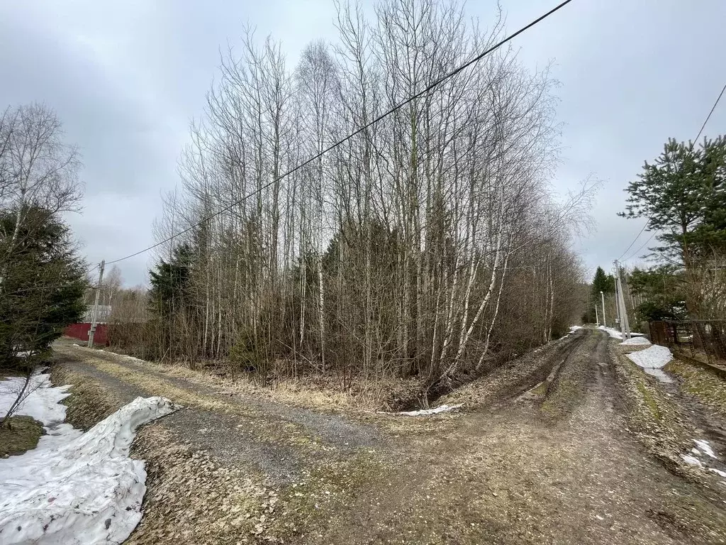 Участок в Московская область, Волоколамский муниципальный округ, ... - Фото 1