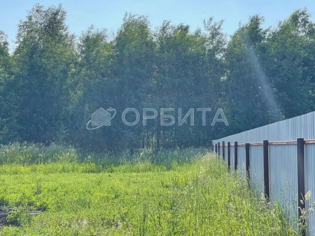 Участок в Тюменская область, Тюменский район, д. Падерина  (8.0 сот.) - Фото 0