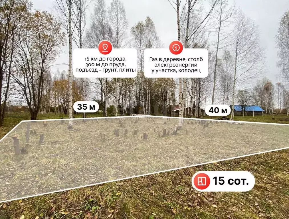 Участок в Костромская область, Судиславский район, Расловское с/пос, ... - Фото 1