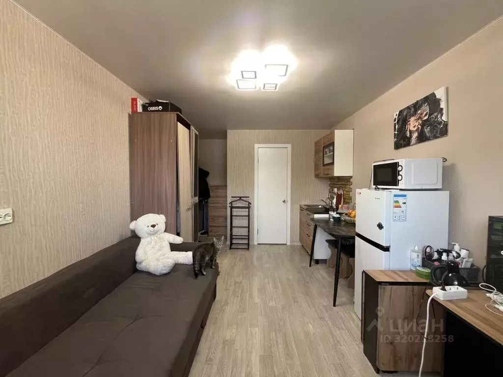 Студия Пермский край, Пермь ул. Гашкова, 13 (16.4 м) - Фото 0