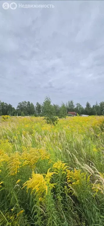 Участок в Меркульево, улица Ленина (10 м) - Фото 1
