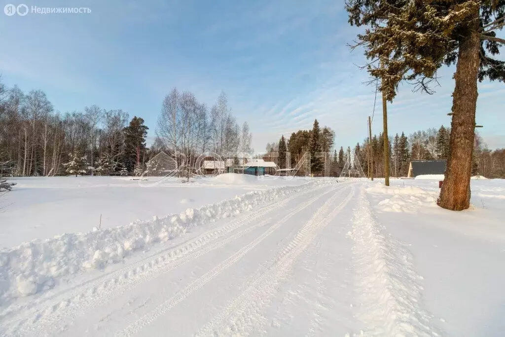 Участок в Нижнетавдинский район, СНТ Аракчино (8.1 м) - Фото 0