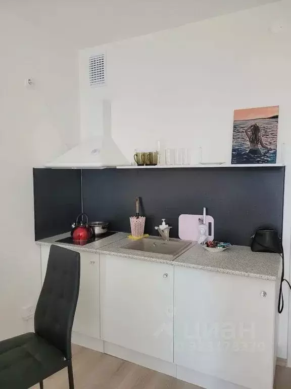 Студия Свердловская область, Екатеринбург ул. Евгения Савкова, 23 ... - Фото 2