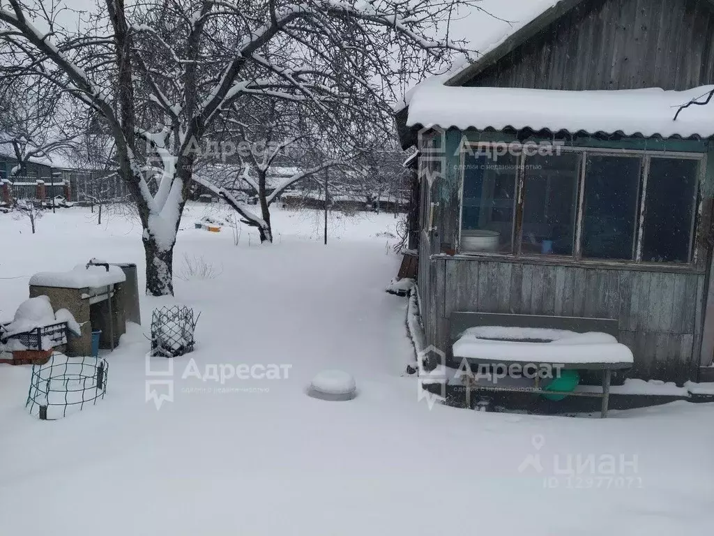 Дом в Волгоградская область, Волгоград Майская ул. (58 м) - Фото 1