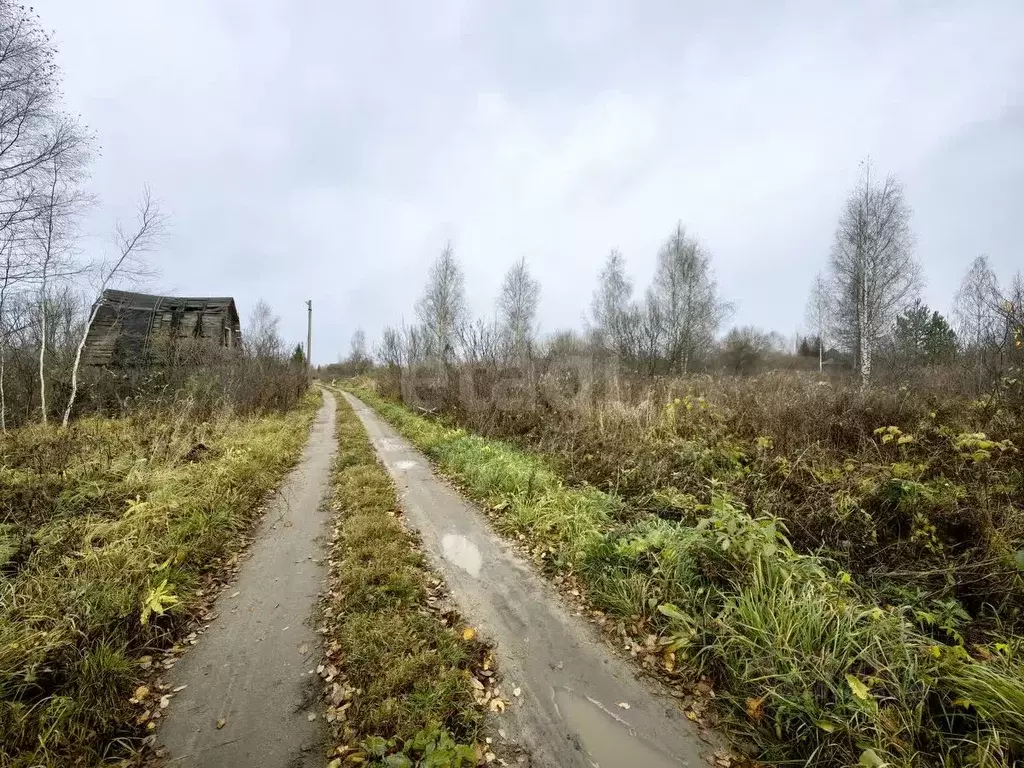 Дом в Костромская область, Кострома Русь СТ, 81 (10 м) - Фото 2