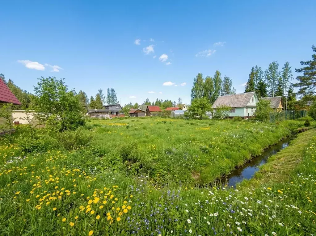 Участок в Ленинградская область, Гатчинский муниципальный округ, Чаща ... - Фото 1