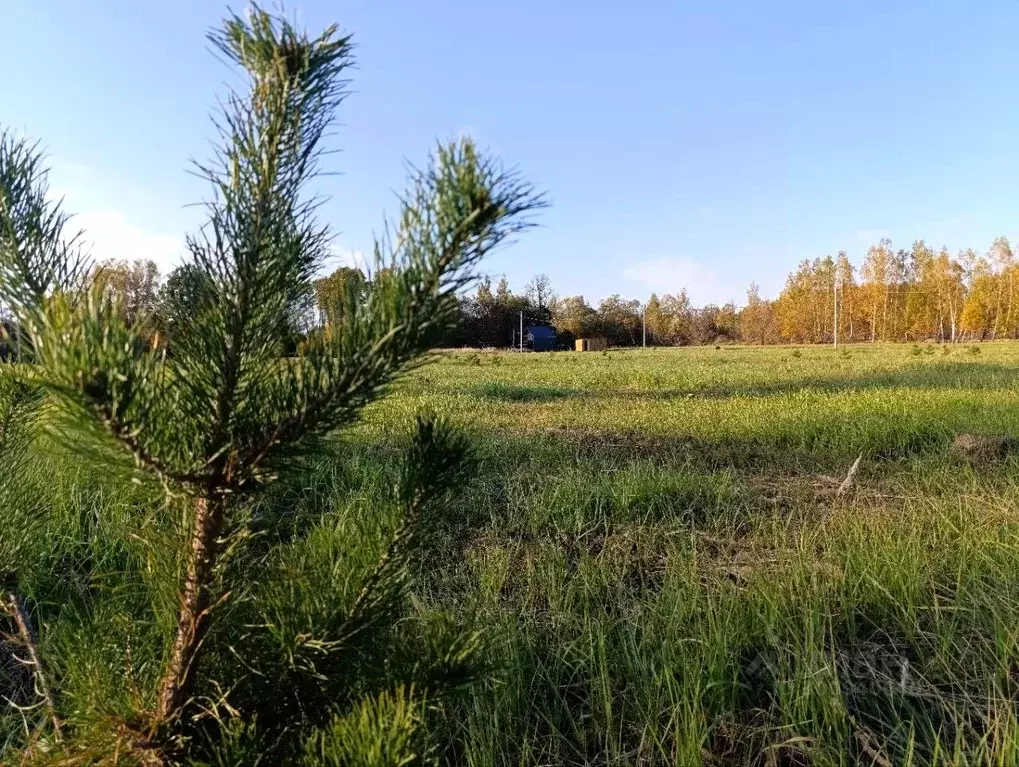 Участок в Тульская область, Заокский район, Страховское с/пос, д. ... - Фото 1