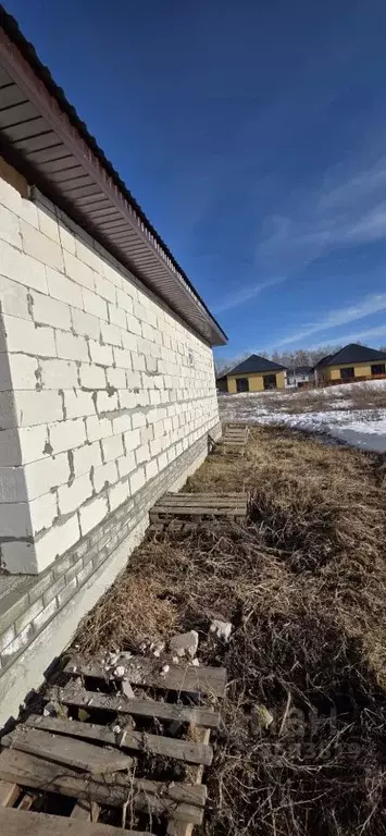 Дом в Алтайский край, Барнаул городской округ, пос. Черницк ул. ... - Фото 2