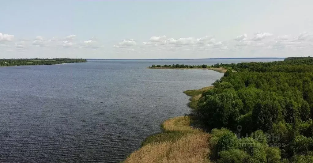 Участок в Ивановская область, Пучежский район, Мортковское с/пос, д. ... - Фото 1