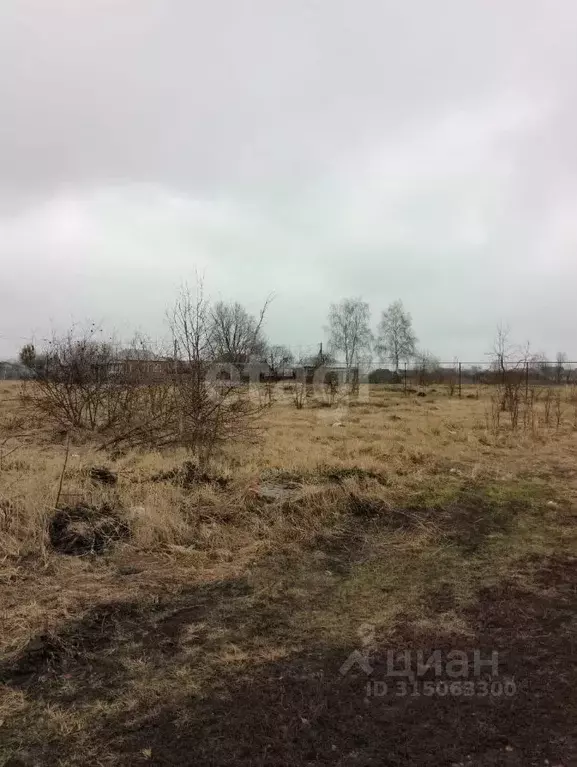 Участок в Тамбовская область, Рассказовский муниципальный округ, с. ... - Фото 1