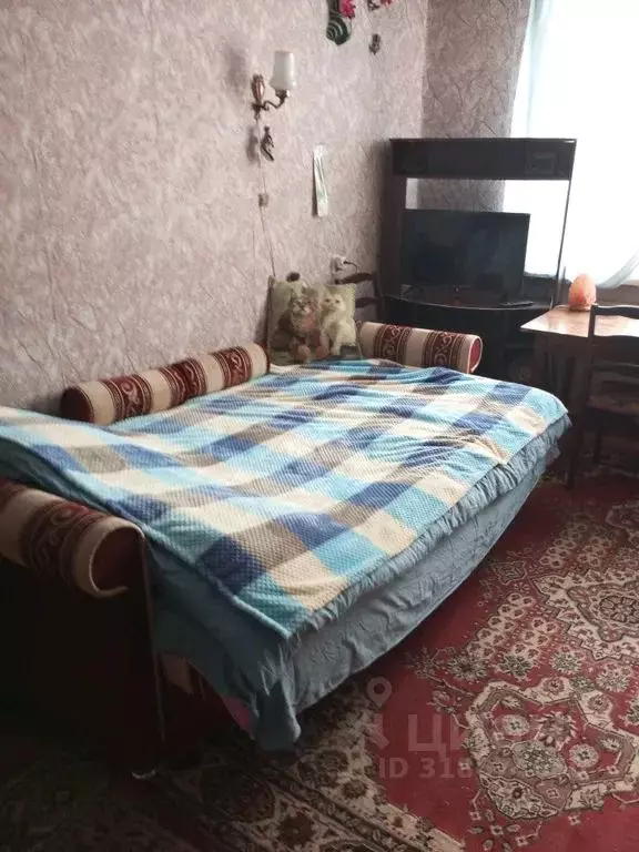 1-к кв. Псковская область, Псков Октябрьский просп., 19Б (38.0 м) - Фото 1