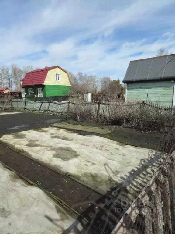 Участок в Омская область, Омск Садовод СНТ,  (3.0 сот.) - Фото 2