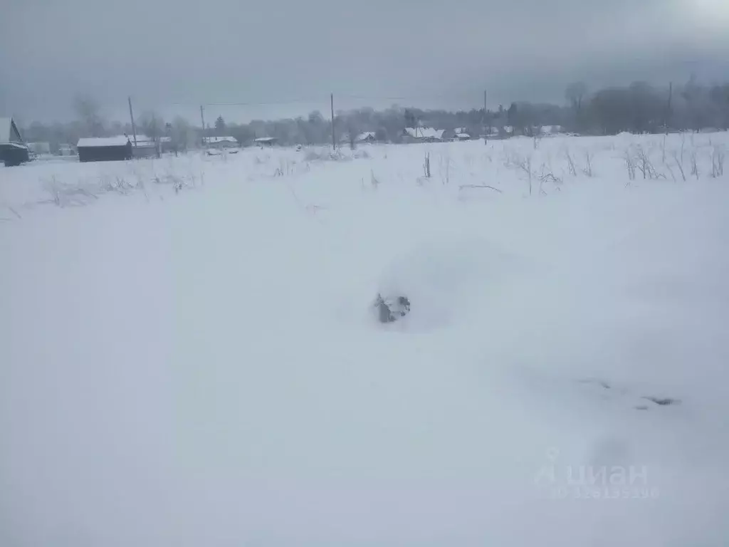 Участок в Ленинградская область, Ломоносовский район, Лопухинское ... - Фото 2