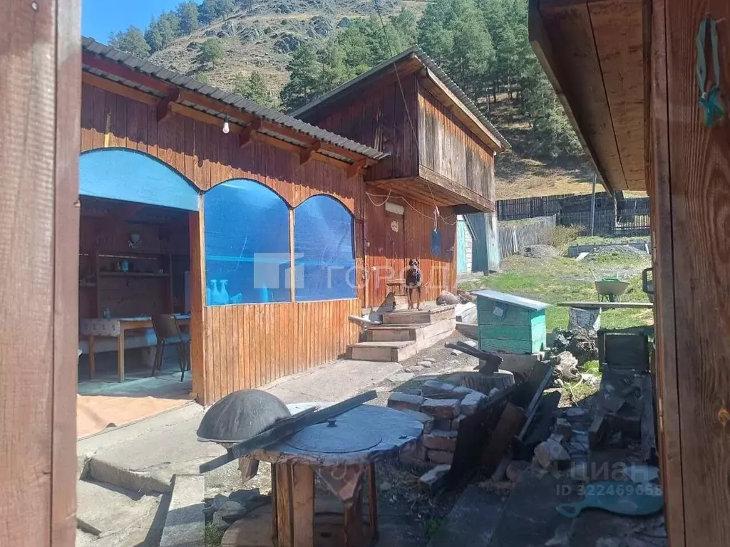 Дом в Алтай, Чемальский район, Элекмонарское с/пос, с. Элекмонар ул. ... - Фото 1